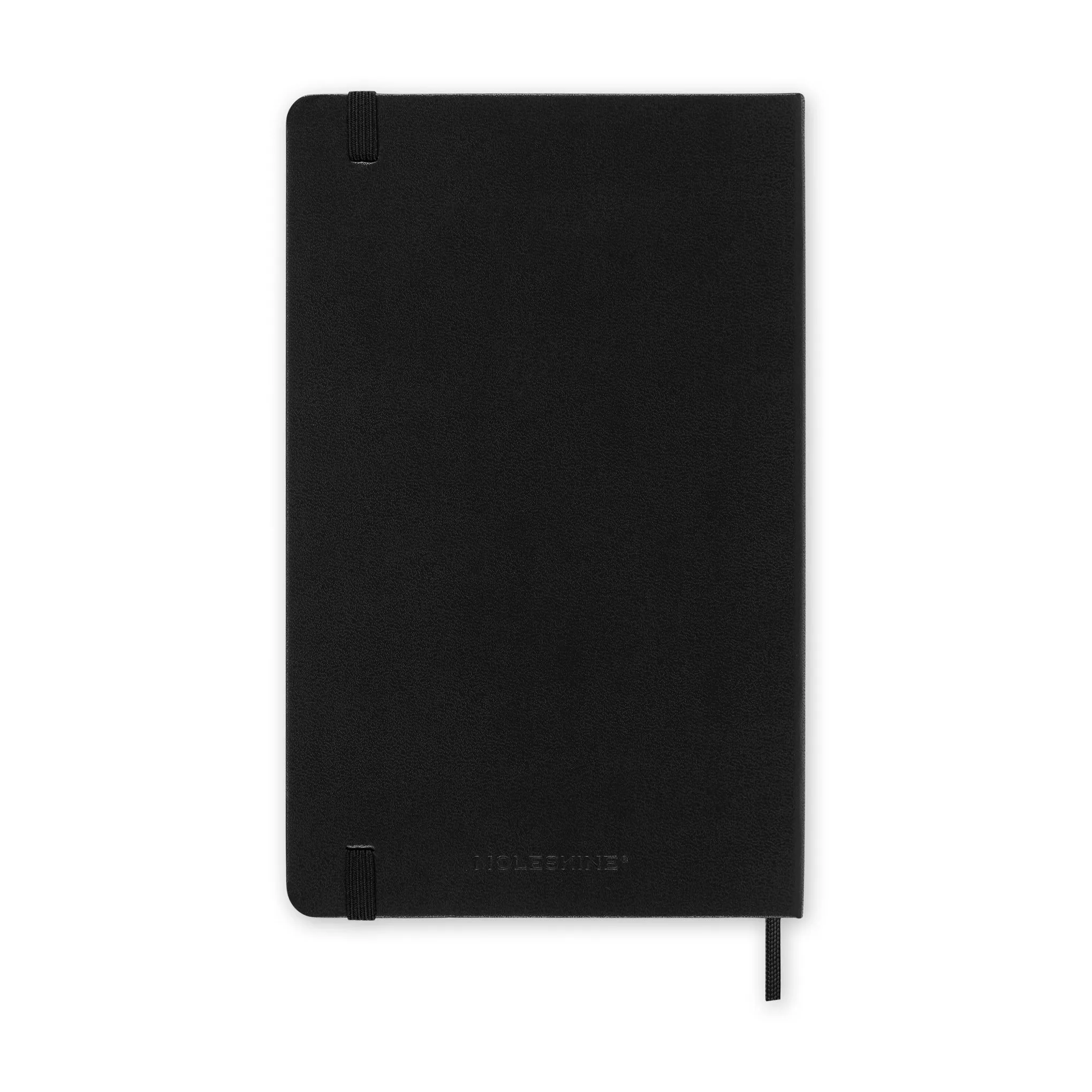2025 Moleskine Daily Planner